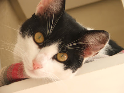 Piche explorando novos horizontes